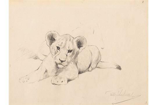 540x360 Wilhelm Kuhnert - Baby Lion Drawing