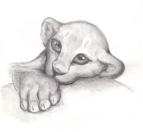 480x443 Baby Lion Drawings - Baby Lion Drawing