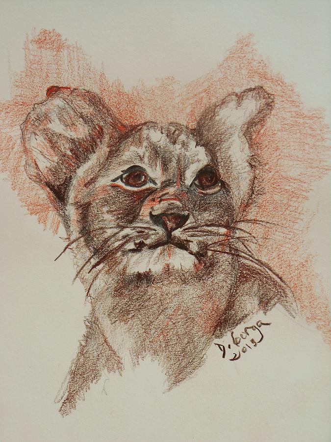 675x900 Baby Lion Drawing - Baby Lion Drawing