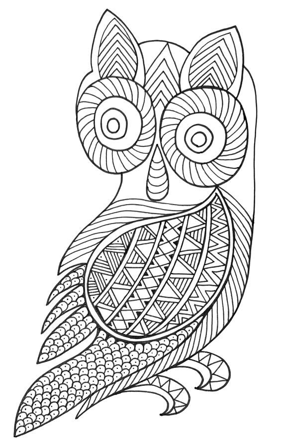 571x900 Bird Baby Owl Drawing - Baby Owl Drawing
