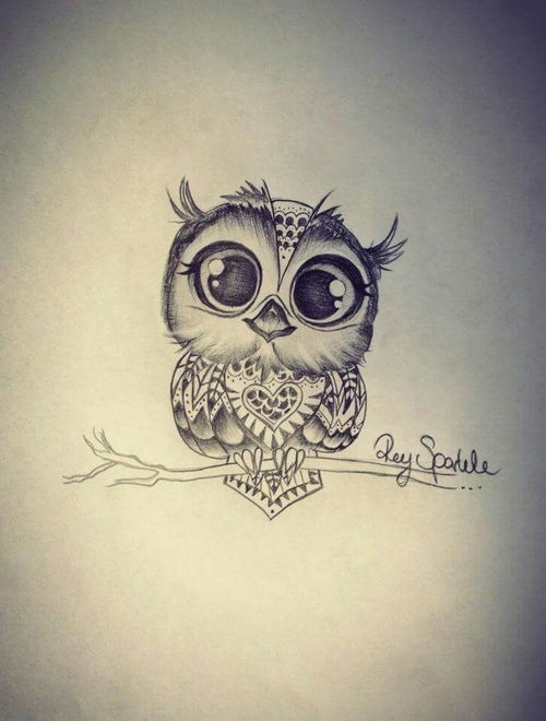 500x660 Cute Baby Owl Drawing Shared - Baby Owl Drawing