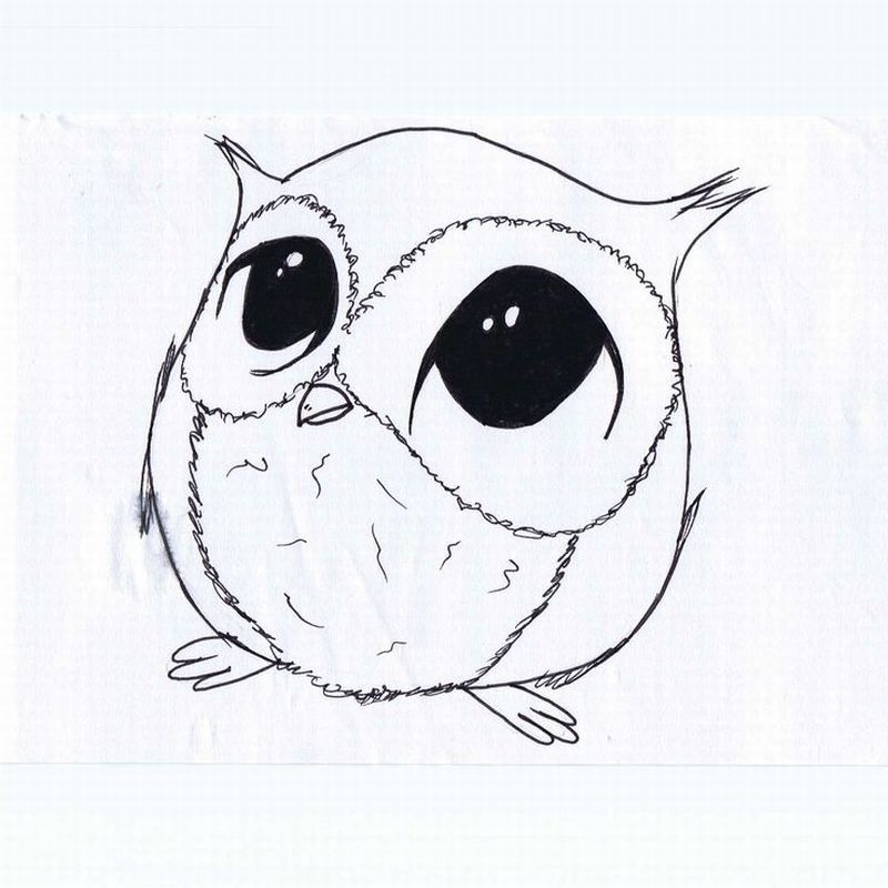 800x800 Desenho De Coruja Para Imprimir Moldes Desene Pencil - Baby Owl Drawing