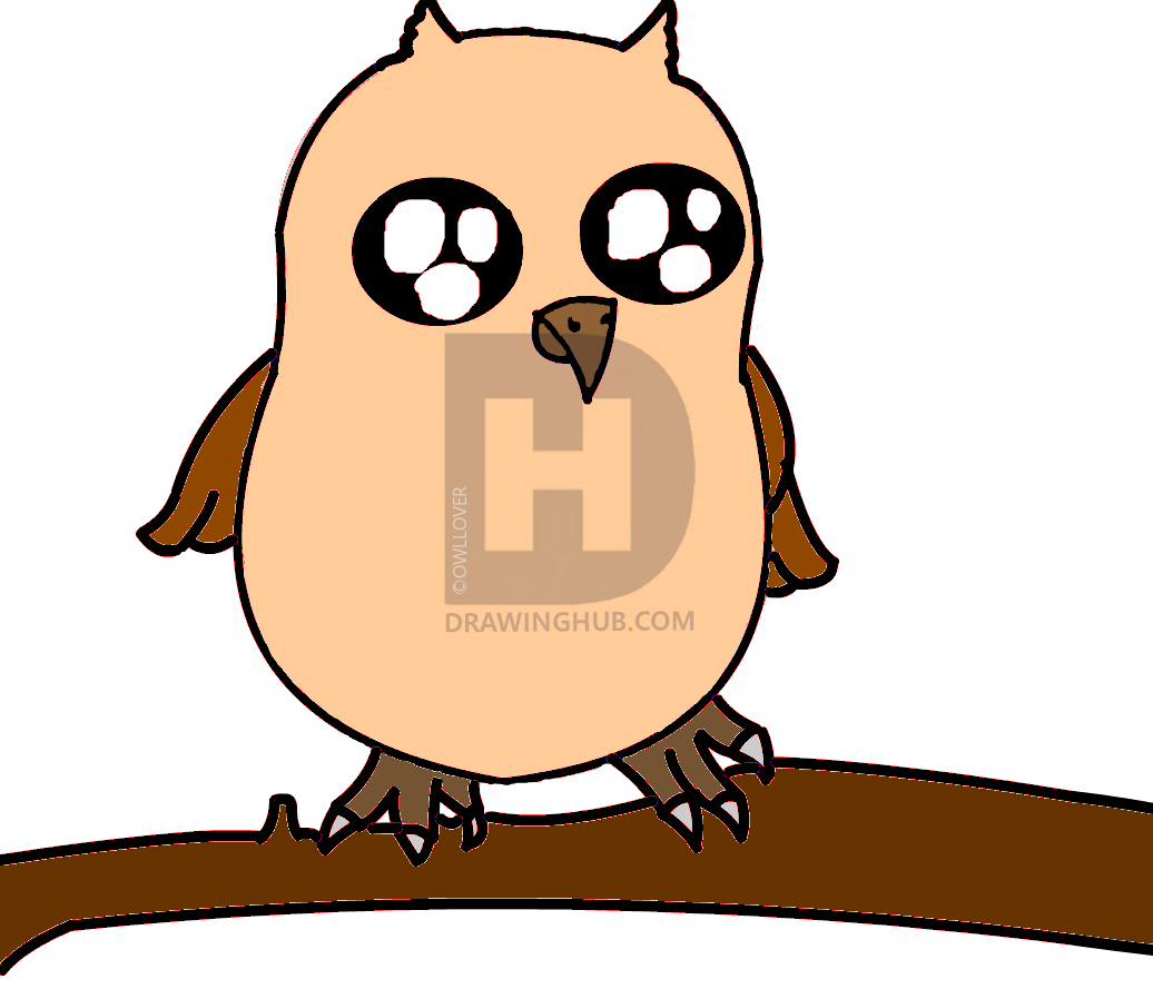 1036x898 How To Draw A Baby Owl, Step - Baby Owl Drawing