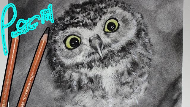 640x360 How To Draw A Realistic Baby Owl - Baby Owl Drawing