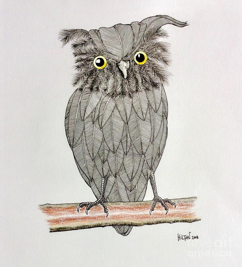 815x900 surrealist baby owl drawing - Baby Owl Drawing
