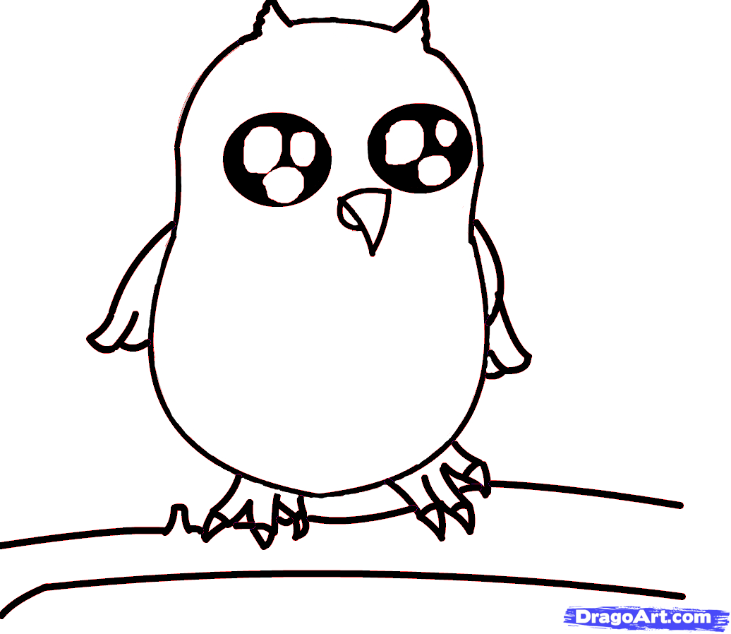 1036x898 Owl Drawing - Baby Owl Drawing