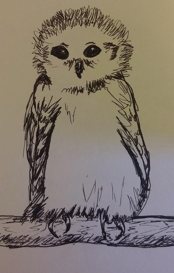 574x900 Baby Owl Drawing - Baby Owl Drawing