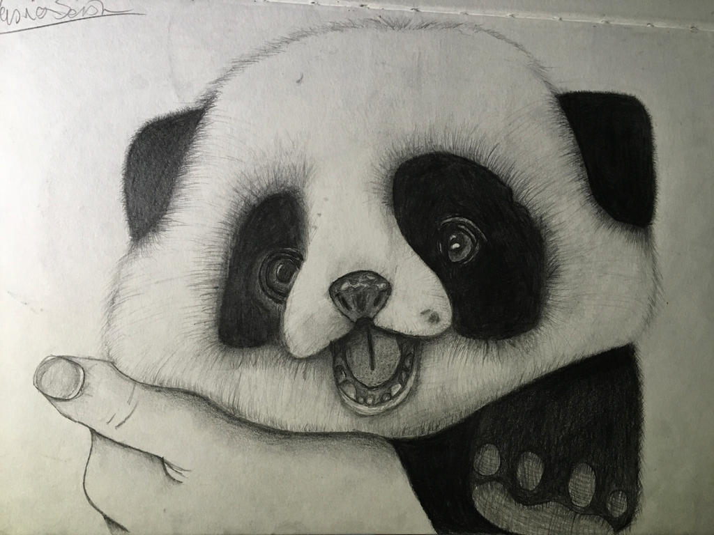 1024x768 Baby Panda Drawing - Baby Panda Drawing
