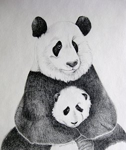 252x300 Baby Panda Drawings Fine Art America - Baby Panda Drawing