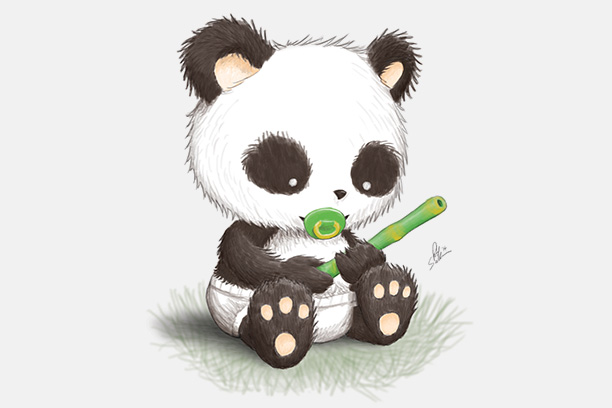 612x408 Baby Panda Photo Drawing Drawing Skill - Baby Panda Drawing