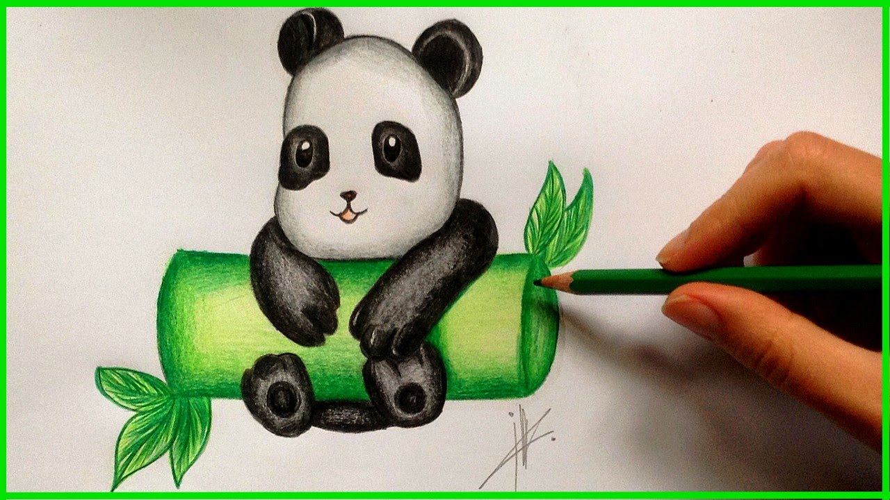 Baby Panda Drawing At Paintingvalley Com Explore Collection Of Baby Panda Drawing