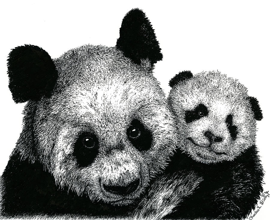 Baby Panda Drawing At PaintingValley.com | Explore Collection Of Baby ...