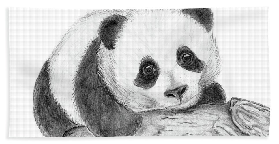 Baby Panda Drawing at PaintingValley.com | Explore collection of Baby ...
