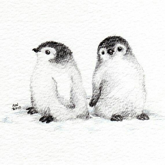 570x570 Baby Penguins Sketching Ideas Drawings, Penguin Drawing - Baby Penguin Drawing