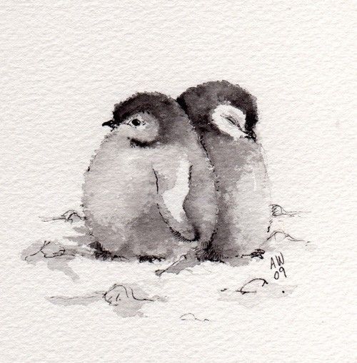 500x509 Baby Penguins Tatoo's Ideas Watercolor Paintings Of Animals - Baby Penguin Drawing
