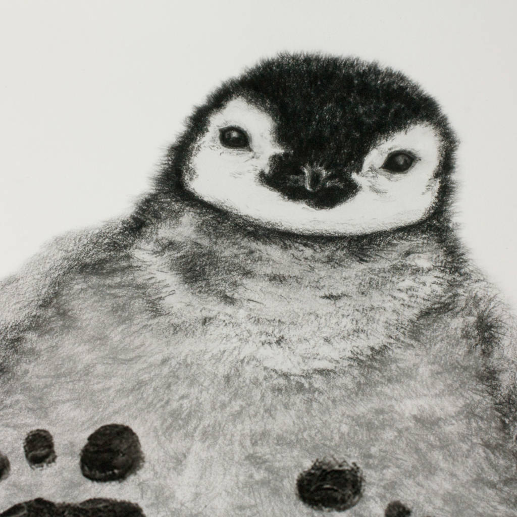 1024x1024 Personalised Baby Penguin Footprint Kit - Baby Penguin Drawing
