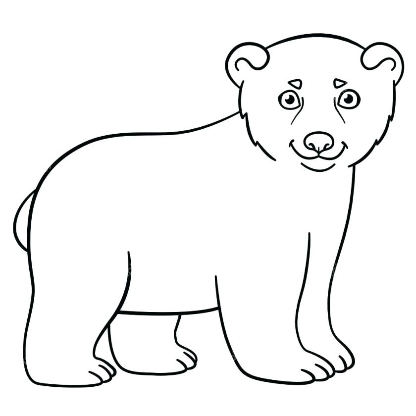 Baby Polar Bear Drawing at PaintingValley.com | Explore collection of ...