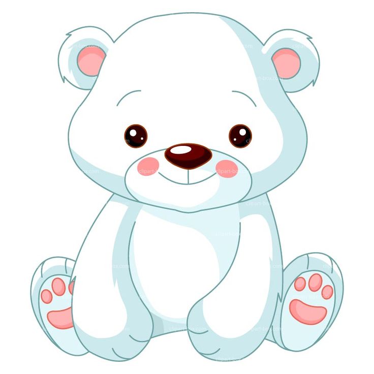 736x736 polar bear curious drawing - Baby Polar Bear Drawing