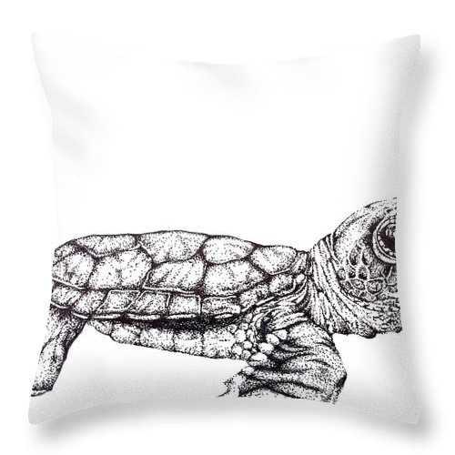 500x500 Baby Sea Turtle Throw Pillow For Sale - Baby Sea Turtle Drawing