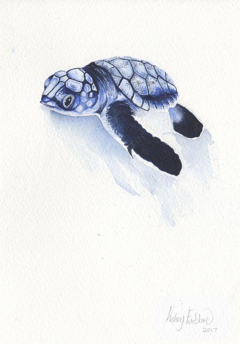 794x1136 Baby Sea Turtle Watercolour Painting Original Art Animal Etsy - Baby Sea Turtle Drawing