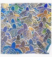 210x230 Baby Sea Turtles Drawing Posters Redbubble - Baby Sea Turtle Drawing