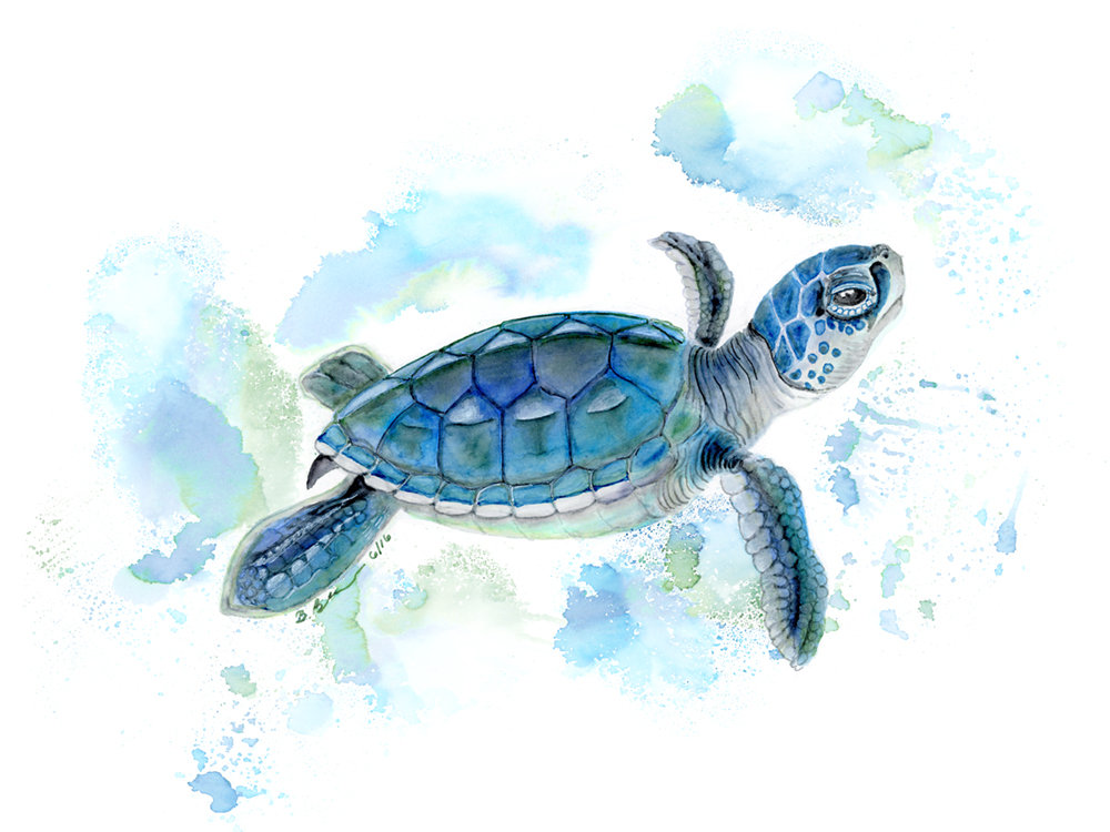 Baby Sea Turtle Drawing at PaintingValley.com | Explore collection of ...