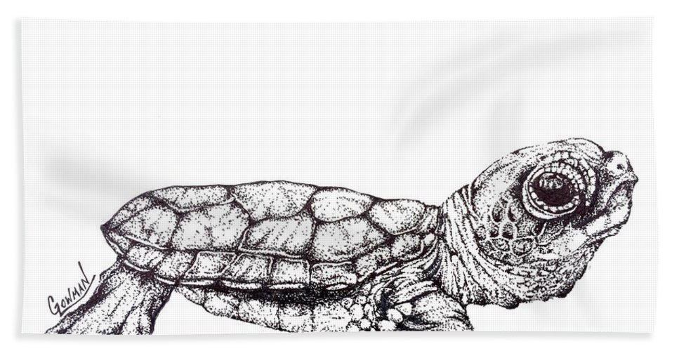 967x500 Baby Sea Turtle Beach Towel For Sale - Baby Sea Turtle Drawing