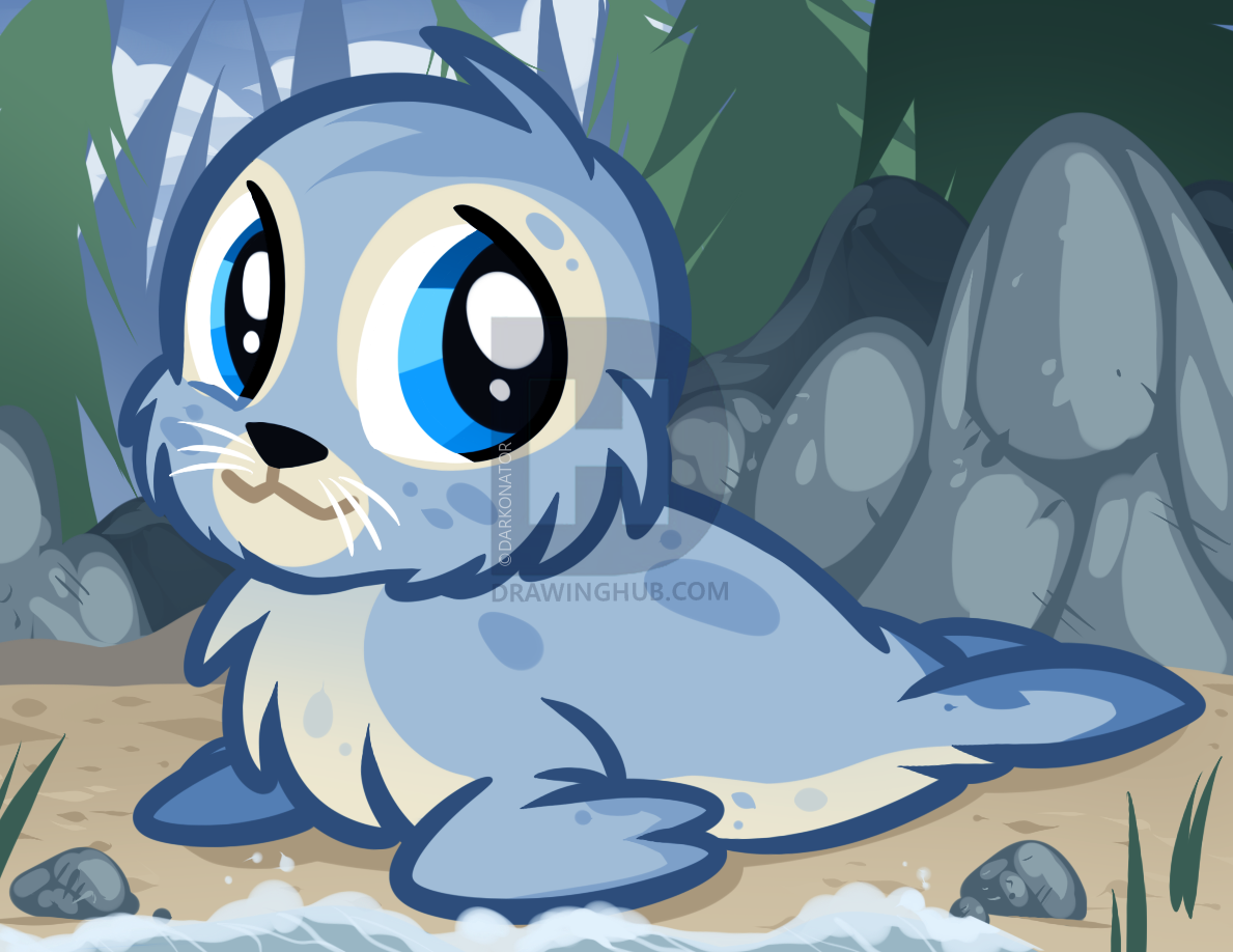 1189x918 How To Draw A Baby Seal, Baby Seal Pup, Step - Baby Seal Drawing