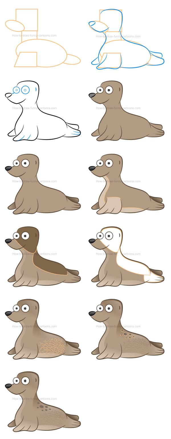 600x1538 How To Draw A Cute Baby Seal - Baby Seal Drawing