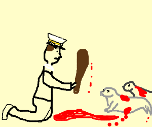 300x250 Navy Seal Clubbing Baby Seals Drawing - Baby Seal Drawing