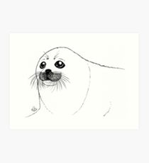210x230 Baby Seal Drawing Art Prints Redbubble - Baby Seal Drawing