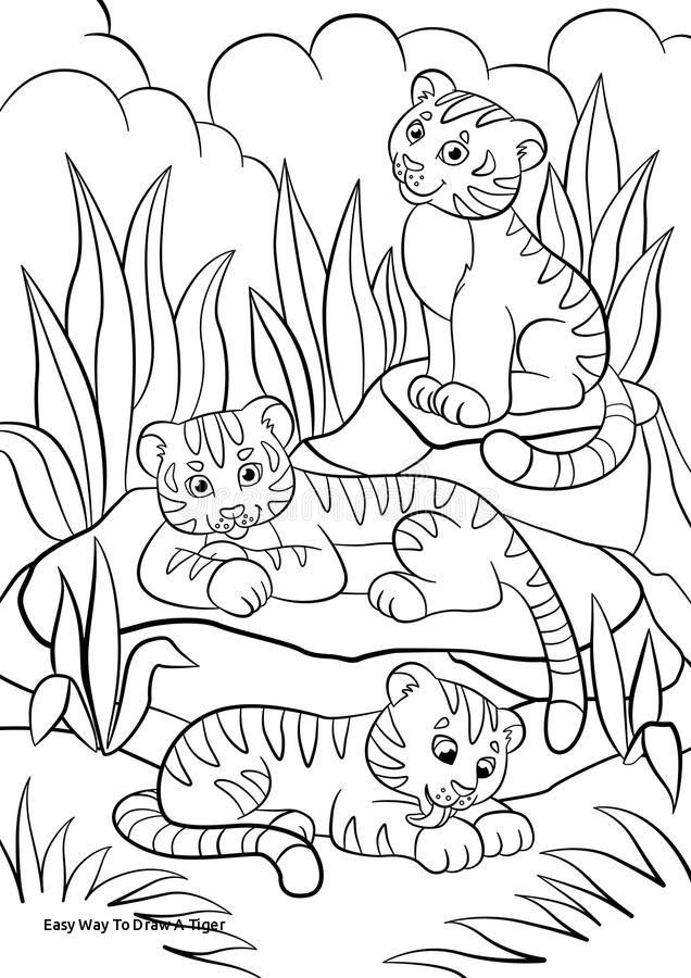 636x900 Easy Way To Draw A Tiger Baby Tiger Faces Coloring Pages Coloring - Baby Tiger Drawing