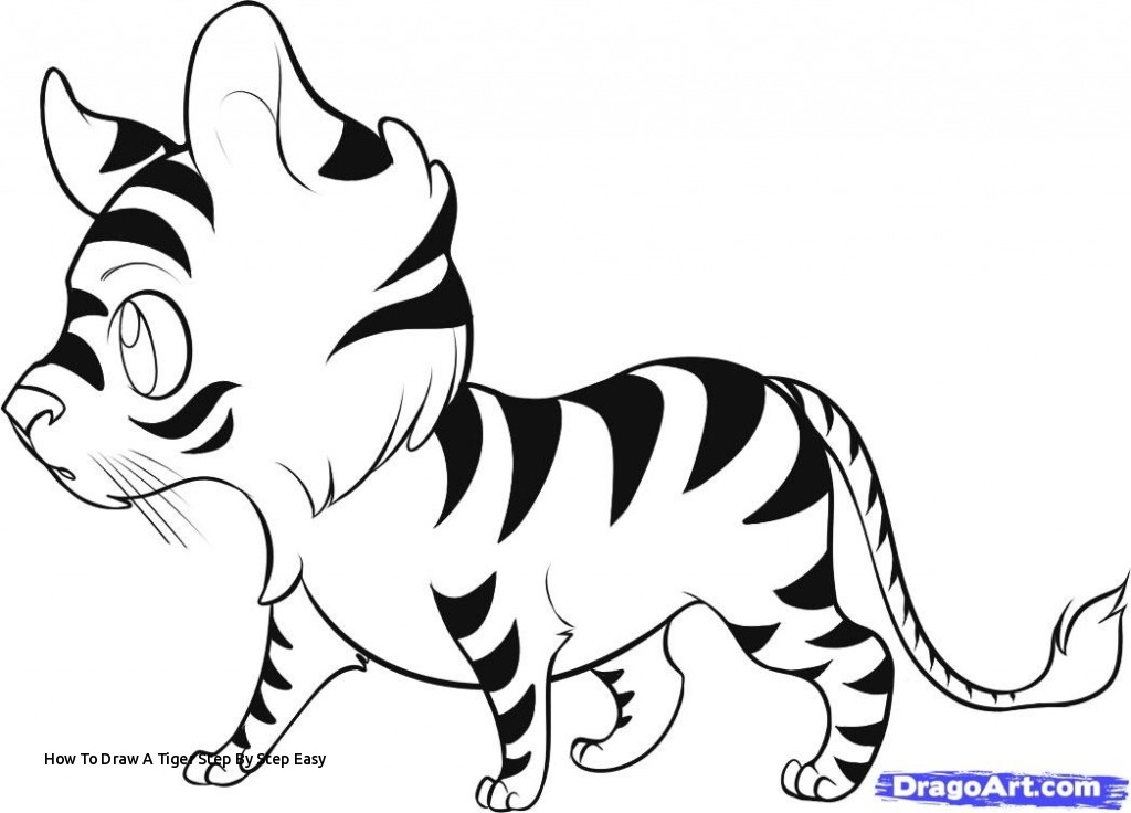 1024x736 How To Draw A Tiger Step - Baby Tiger Drawing