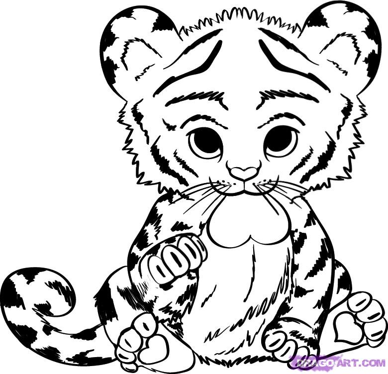 780x752 How To Draw A Baby Tiger, Step - Baby Tiger Drawing