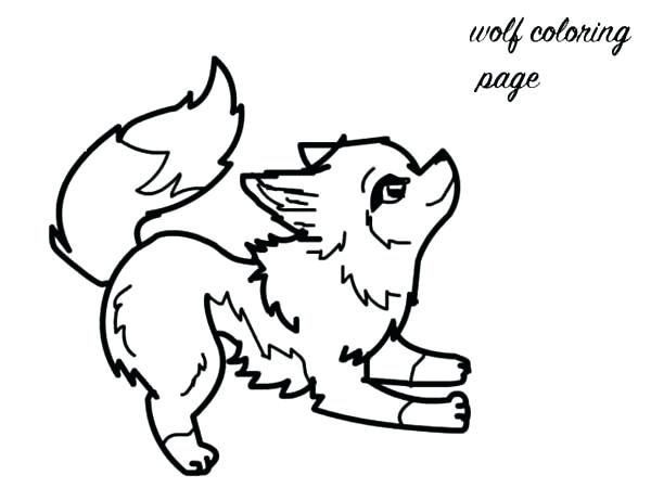 600x450 Baby Wolves Coloring Pages - Baby Wolf Drawing