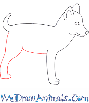 300x350 how to draw a wolf pup - Baby Wolf Drawing