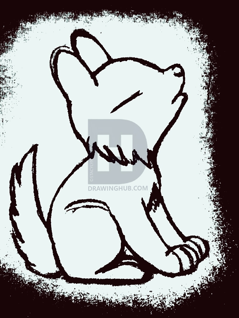 799x1061 Baby Wolf Drawing - Baby Wolf Drawing