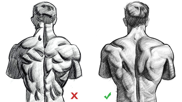 600x338 How To Draw Upper Back Muscles - Back Drawing