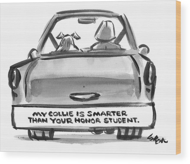 643x555 a bumper sticker on the back of someone's car wood print - Back Of A Car Drawing