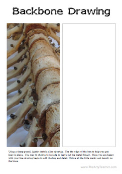 245x350 Backbone Drawing Sub Plan Lesson - Backbone Drawing