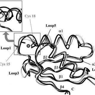 320x320 Backbone Drawing Of Cu - Backbone Drawing