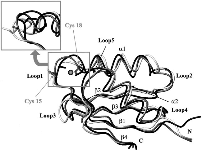 650x484 Backbone Drawing Of Cu - Backbone Drawing