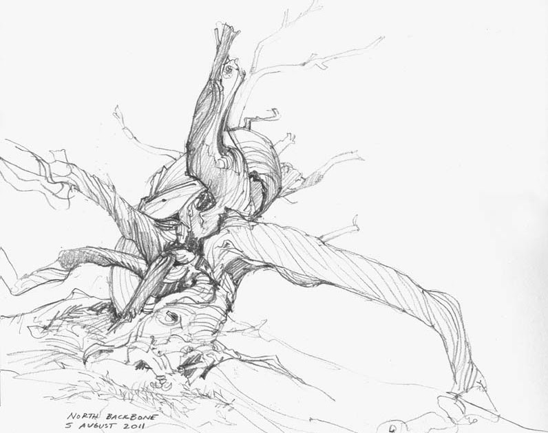 796x630 Brush And Baren Fieldwork Friday North Backbone Trail - Backbone Drawing