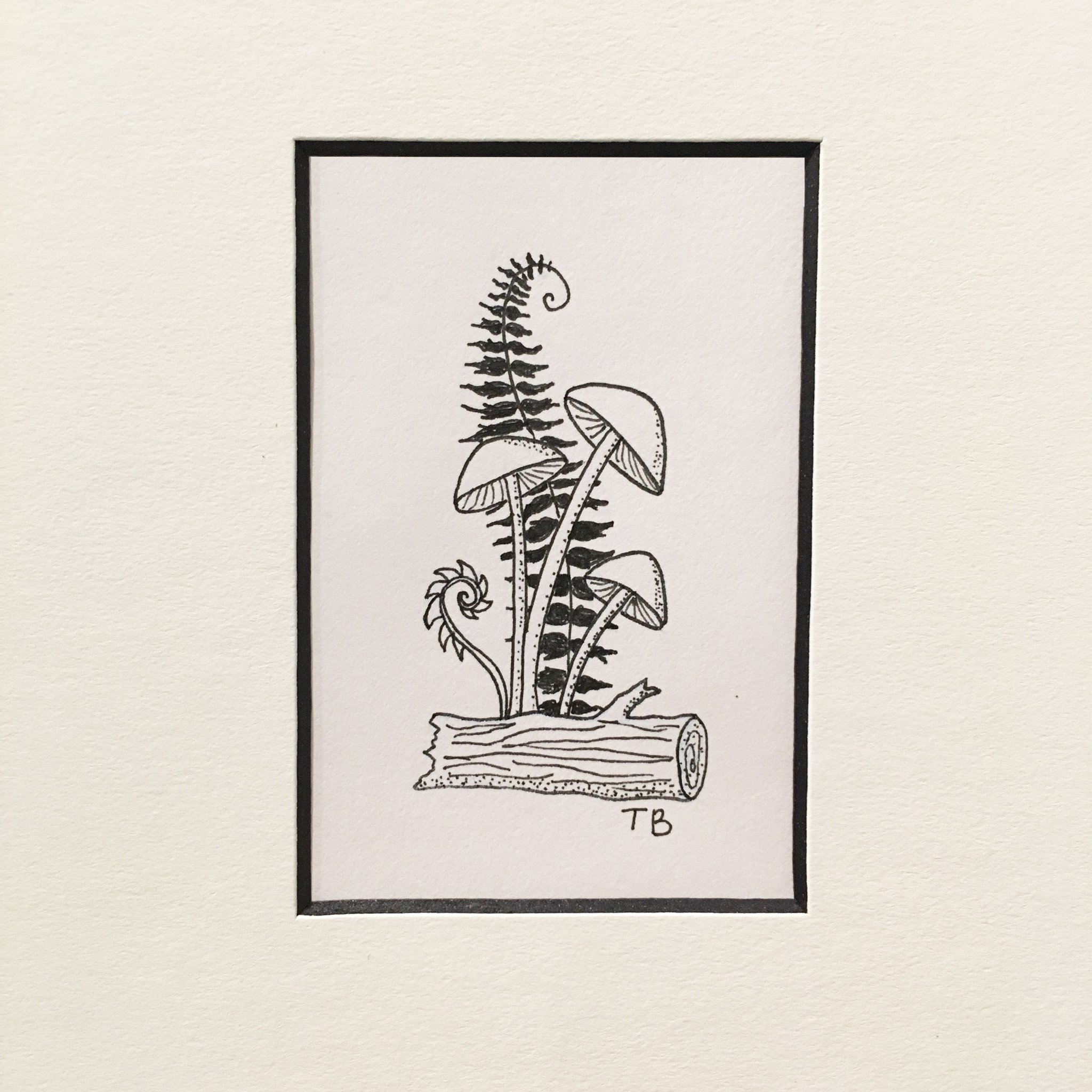 2048x2048 Delicatewith A Backbone - Backbone Drawing