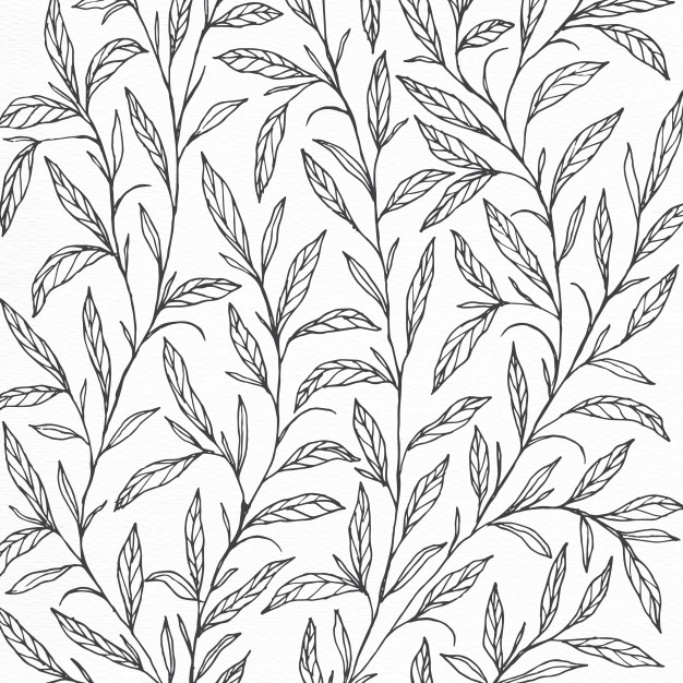 626x626 Background Design With Hand Drawn Botanical Illustration Vector - Background Design Drawing