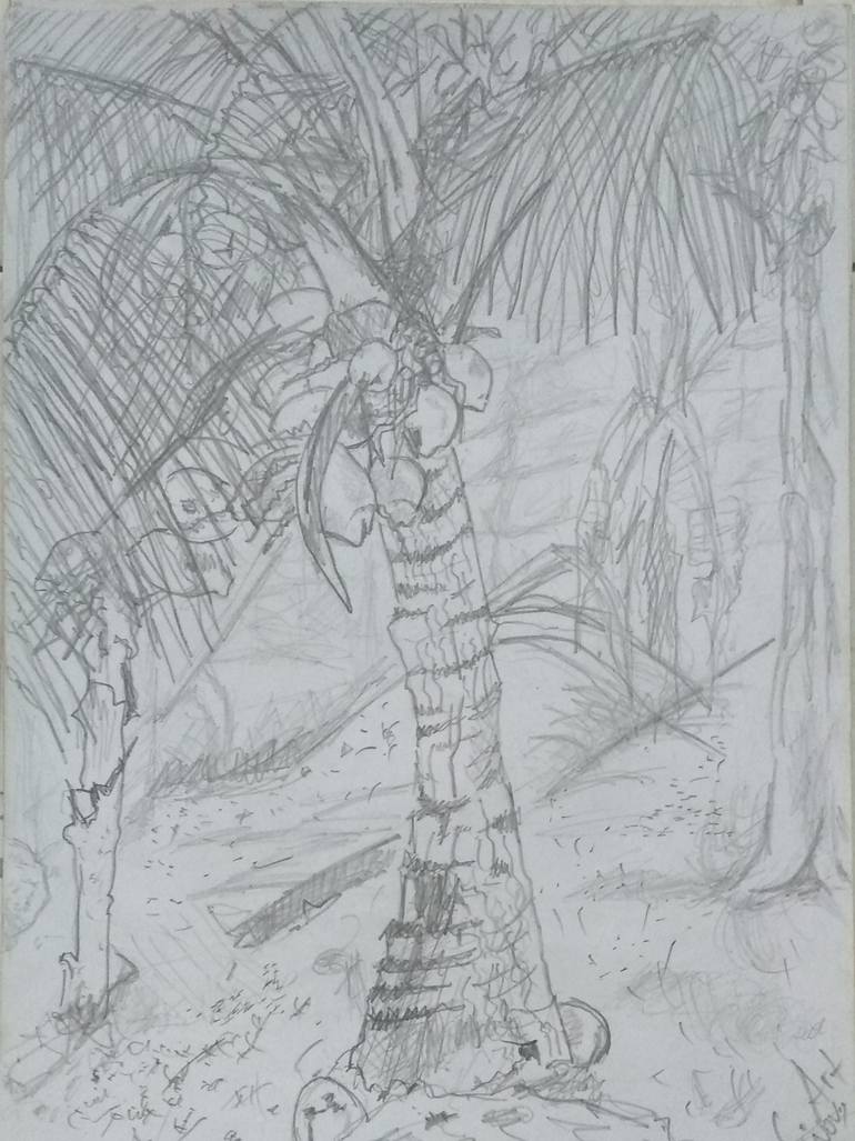770x1027 coconut tree in my backyard drawing - Backyard Drawing