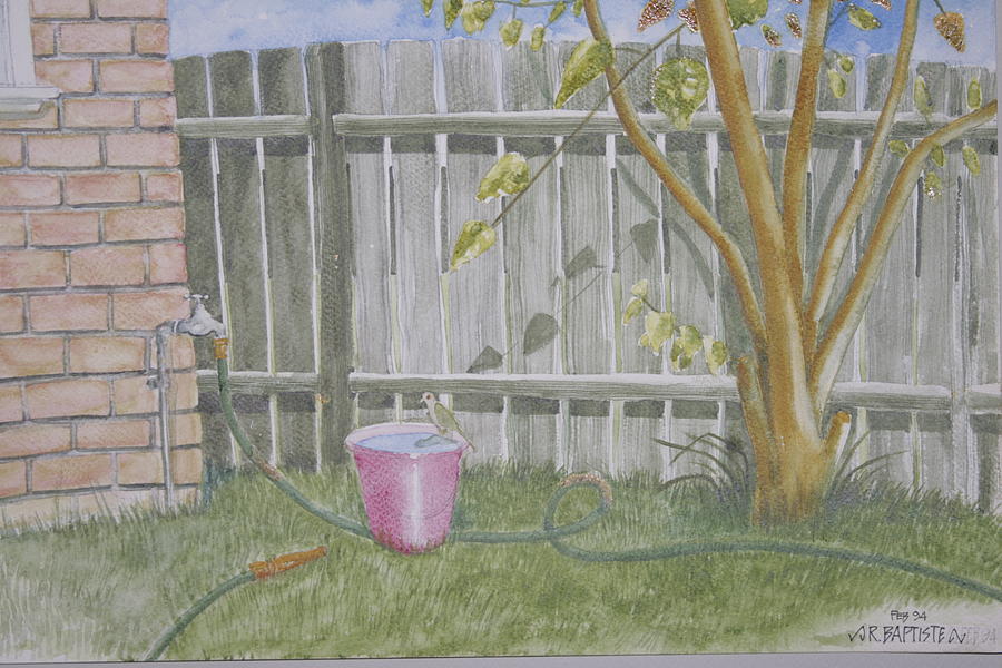900x600 backyard drawing - Backyard Drawing