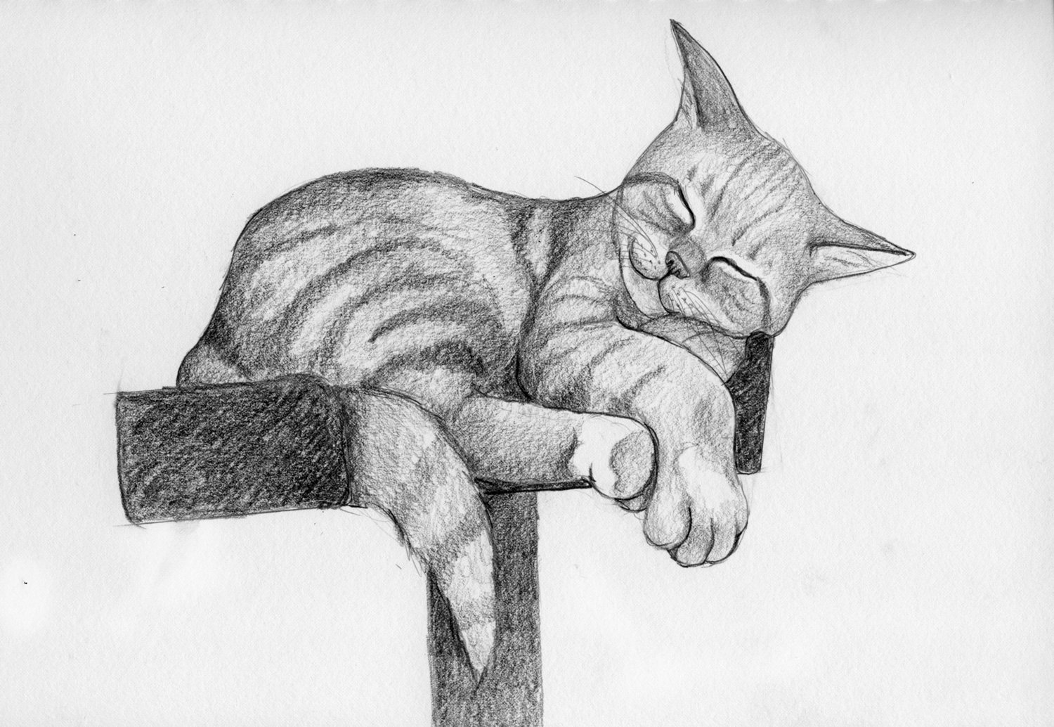 1500x1034 cat doodle mugsy bad drawings - Bad Drawings