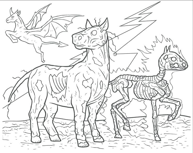 736x586 Ideas Badass Coloring Books Or Coloring Coloring Pages For Kids - Badass Drawing Ideas