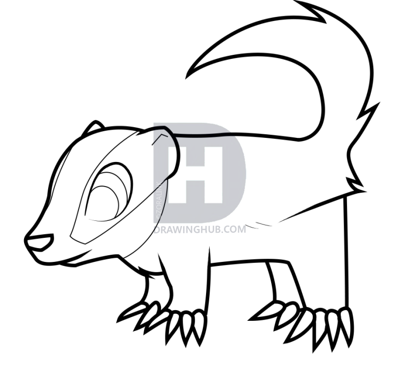 790x720 How To Draw A Badger For Kids, Step - Badger Drawing